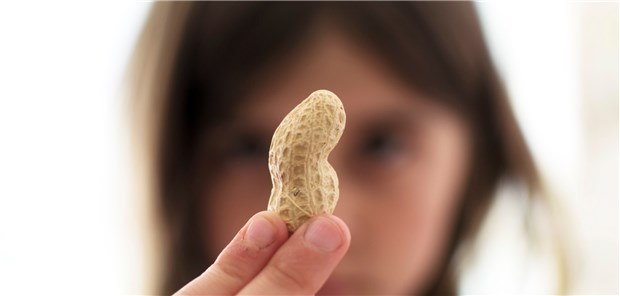Gefahr gebannt? Die Behandlung mit der neuen oralen Immuntherapie bei Patienten mit Erdnussallergie besteht aus drei Phasen. Die Erfolgsquote in Studien betrug 67 Prozent.