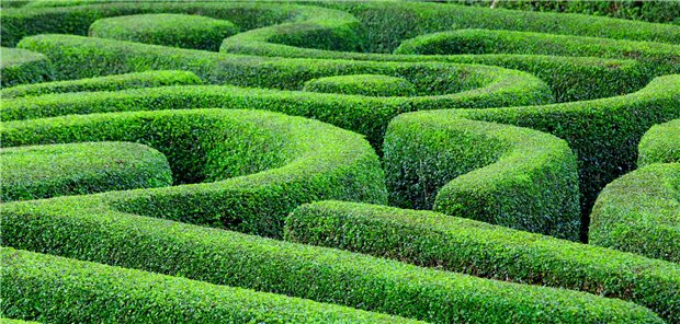 Gefangen im Irrgarten? Bevor Patienten mit einer seltenen Erkrankung eine Diagnose erhalten, vergehen meist Jahre – mit entsprechendem Leidensweg.