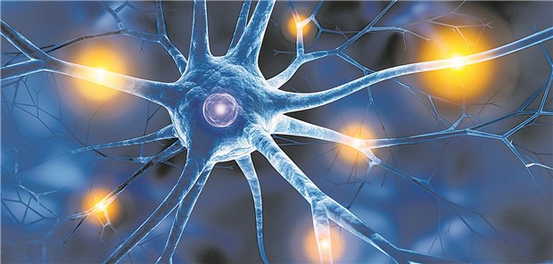 Was M2-Makrophagen mit Schmerzlinderung zu tun haben Gegen Schmerzen, die durch Schäden an Neuronen bedingt sind, werden neue Therapieoptionen gesucht.