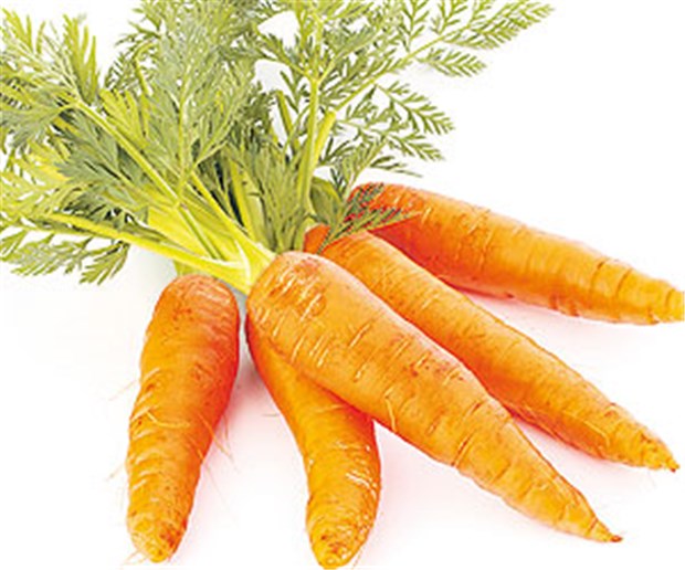 Mit Karotten Prostatakrebs vorbeugen? Geheimwaffe Karotte? In der Rübe scheint noch mehr zu stecken als Vitamin A und K.