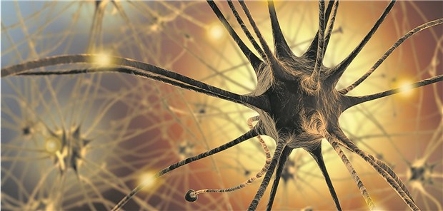 Gehen Axone und Nervenzellen zugrunde, werden Neurofilamentproteine freigesetzt.