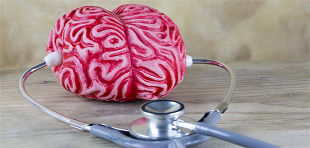 Bahn frei für frühe L-Dopa-Therapie! Gehirn im Fokus: Levodopa hat einer Studie zufolge keine neuroschädlichen Effekte.