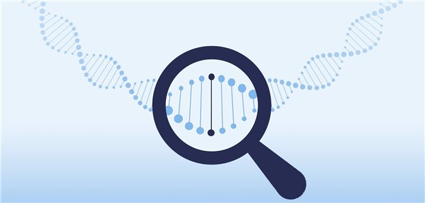 Geht eine Mutation im Mangan-Transporter-Gen beim Menschen mit eingeschränkter Insulinsensitivität einher?