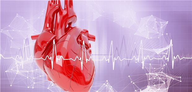 Neue Leitlinie zur kardiovaskulären Prävention