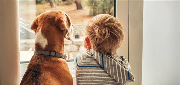 Gemeinsame Interessen: Vom frühen Kontakt mit einem Hund können Kinder offenbar auch gesundheitlich profitieren.