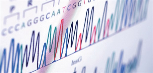 Genanalyse: Die Forscher fanden bei der Patientin mehr als 2000 Genveränderungen.