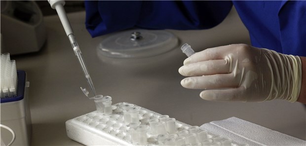 PID bleibt eine Blackbox Genetische Untersuchung im Labor: Vieles rund um die Präimplantationsdiagnostik liegt im Unklaren.