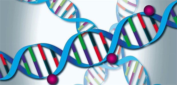Wie die Forschung Krebskranken nützt Genetischen Bausteine können allein die Entstehung von Krebserkrankungen nicht vollständig erklären.