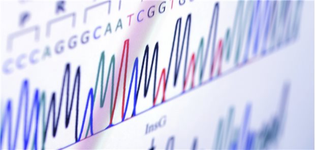 Genomanalysen bilden die Grundlage von Personalisierter Medizin.