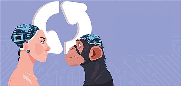 Menschen-Gen macht Affen klüger Gentausch zwischen Mensch und Affe: Durch einen Geneinbau bei unseren nächsten Verwandten verbesserte sich deren kognitive Leistung.