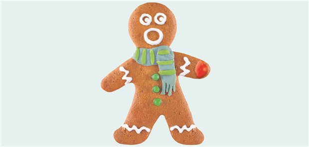 Gerade in der Weihnachtszeit ist es schwer, Zuckerhaltigem gänzlich aus dem Weg zu gehen. Dabei vermindert es die Zahl nützlicher Bakterien im Mikrobiom, fördert Autoimmunität und begünstigt Übergewicht.
