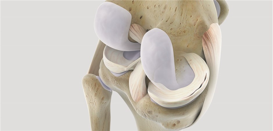 Physiotherapie so gut wie Op beim Meniskusriss