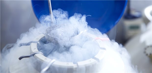 Gesetzlich versicherte Patientinnen haben Anspruch auf die Kryokonservierung ihrer Eizellen, wenn sie nach einer keimzellschädigenden Therapie noch schwanger werden wollen.