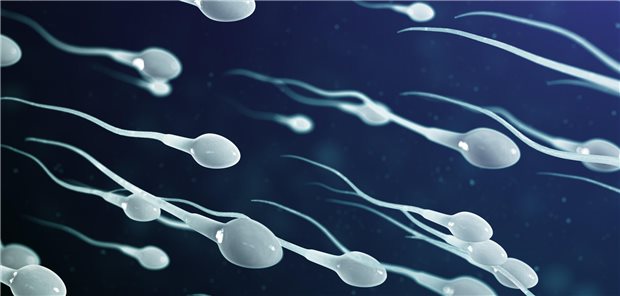 weiße Spermien vor blauem Hintergrund