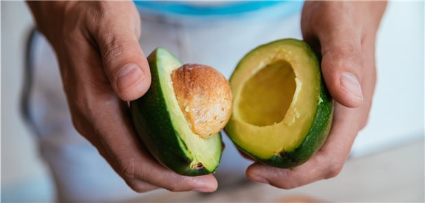 Gesunde pflanzliche Fettquelle für die kardiovaskuläre Prävention: Avocado.
