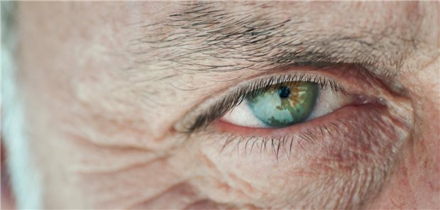 Aktionswoche zu Makula-Degeneration startet am Samstag Gesundes Auge, gutes Sehen – das steht im Fokus der Aktionswoche zu AMD von PRO RETINA Deutschland e.V.