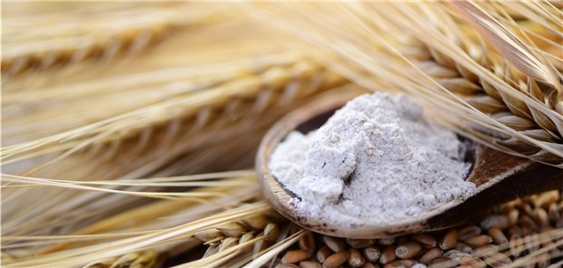 Getreidemehl im Blick. Die Proteinzusammensetzung verschiedener Mehle unterscheidet sich gravierend.