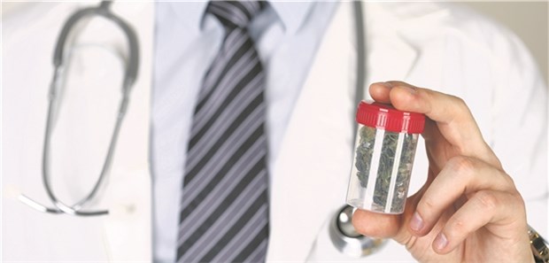 Niedrig dosiert starten und langsam erhöhen! Getrocknete Cannabis-Blüten sind eine Option für die Verordnung auf BtMRezept, Wirkstoff-Extrakte eine andere.
