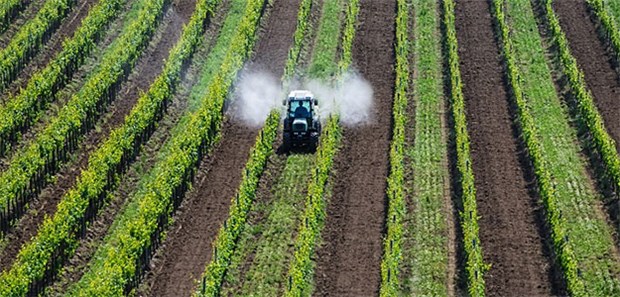 Kritik an Enthaltung zu Glyphosat Glyphosat ist das weltweit am häufigsten eingesetzte Herbizid.