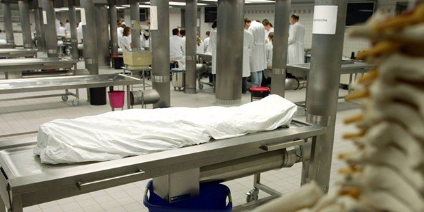 Studie zur Wirtschaftskraft: Unterschätzte Unikliniken Große Anatomie in Dresden: Unikliniken kosten Geld - bringt aber mehr Steuern ein.