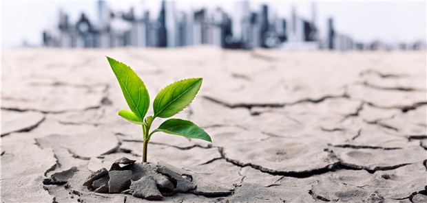 Wird ein Grünes Gewissen erste Investoren-Pflicht? Grüne Geldanlage – noch ist das nur ein zartes Pflänzchen in der Börsenlandschaft.