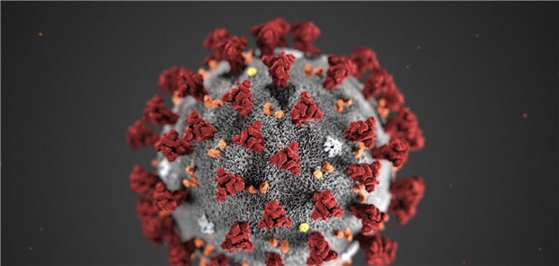 SARS-CoV-2 bleibt im Labor bis zu 3 Tage intakt Grundsätzlich gelten Coronaviren wie SARS-CoV-2 auf Oberflächen nicht als besonders stabil.