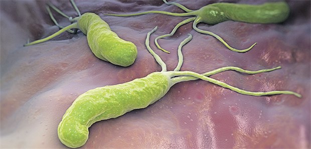 H. pylori: Bei hohem Resistenzrisiko ist die Bismut-Vierfachtherapie eine empfohlene Option.