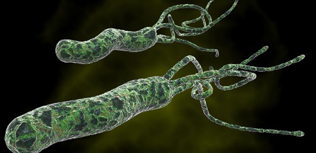 Plädoyer fürs Testen und Behandeln H. pylori: Testen, testen, testen.