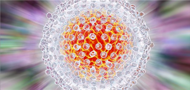Hepatitis C-Heilungschance im zweiten Anlauf HC-Virus: Das Versagen einer DAA-Kombinationstherapie bei chronischer HepatitisC ist selten.