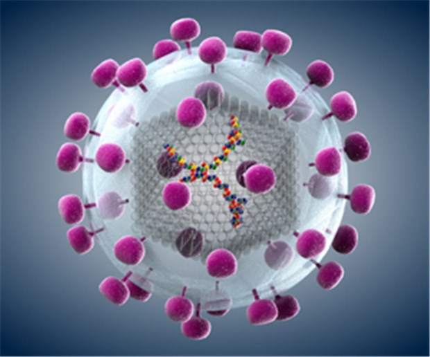 HIV versteckt sich in Fresszellen HIV: Versteck in der Makrophage.