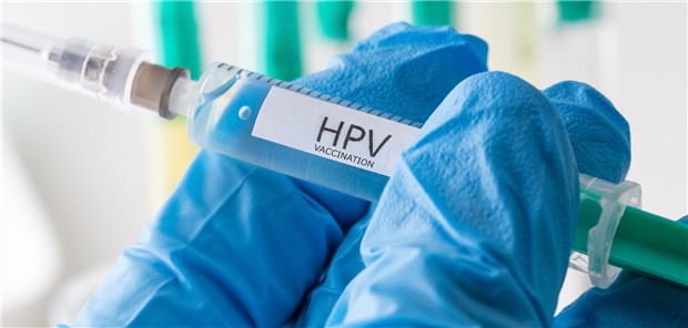 hpv warzen bilder