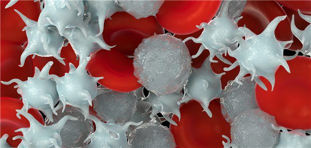 Hält eine chemotherapieinduzierte Thrombozytopenie an, kann das die Chemotherapie verzögern und somit das Outcome eventuell verschlechtern. 