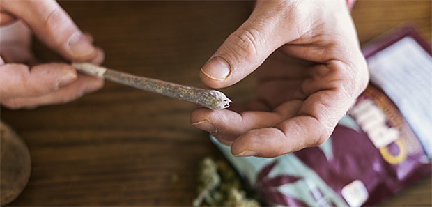 Hanf-Zigaretten finden reißenden Absatz Hanf-Zigarette mit niedrigem THC-Gehalt: Das Schweizer Bundesamt für Gesundheit ist besorgt, dass diese Zigaretten jungen Leuten als Einstiegsdroge dienen könnten.