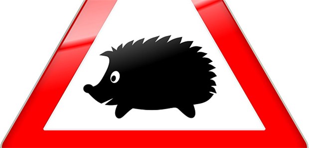 'Viele IGeL können schaden' Harsche Kritik an IGeL-Leistungen übt der MDS.