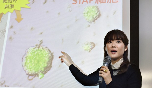 Japanische Elite-Uni prüft Doktorarbeiten Haruko Obokata Ende Januar bei der Vorstellung ihrer Paper: Die Affäre um ihrer Forschung sorgt nun für eine dutzendfache Prüfung von Dissertationen.