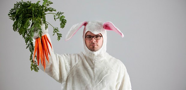 Mit Karotten Prostatakrebs vorbeugen? Hase ohne Prostata-Ca?