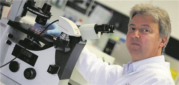 Forschung mit embryonalen Stammzellen bleibt Reizthema Hat die Debatte zur Nutzung embryonaler menschlicher Stammzellen für die Forschung in Deutschland maßgeblich
vorangetrieben: Der Bonner Neuropathologe und Stammzellforscher Professor Oliver Brüstle (Archivbild).