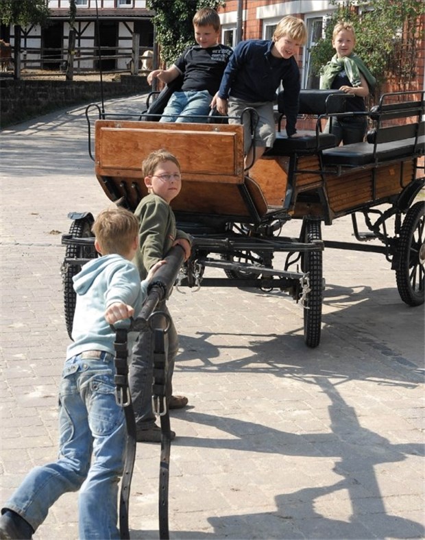 Kinder machen Urlaub vom Schmerz Hau ruck, hau ruck! Bevor die Pferde kommen, testen die Jungs, ob die Kutsche auch ohne Vierbeiner bewegt werden kann.