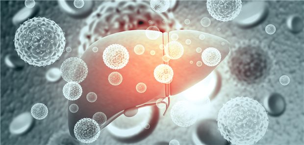Hepatitiden unklärer Ätiologie: Stecken Viren dahinter – und wenn ja: welche?
