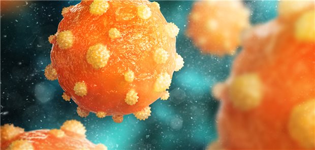 Hepatitis-B-Virus: Ein Ansatz zur Heilung bei chronischer Hepatitis B ist, die virale Genexpression auf Transkriptionsebene mit kleiner interferierender RNA zu hemmen.