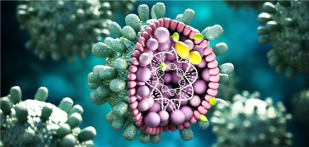 3D-Model eines Hepatitis-B-Viruses