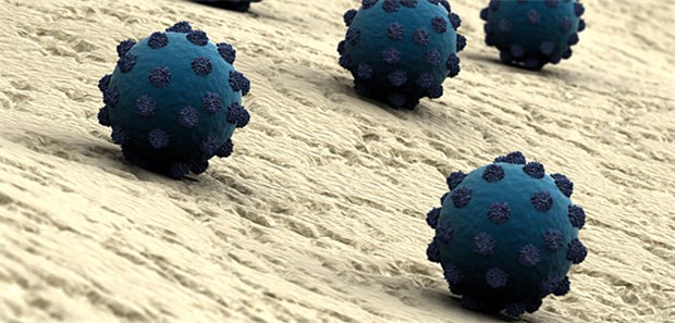 Die HCV-Therapie wird revolutioniert Hepatitis-C-Viren - neue Arzneien sollen eine komplette Elimination bewirken.