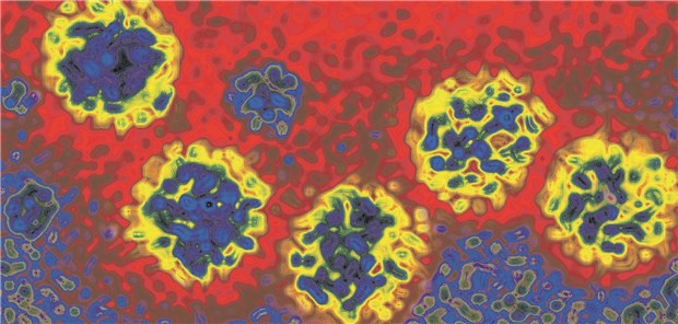 Hepatitis-C-Virus: Forscher haben die Viren genetisch verändert und geschaut, ob sie noch auf Zelleintritts-Inhibitoren ansprechen.