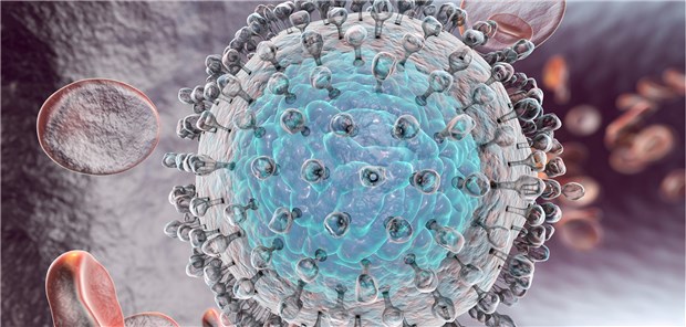 Dramatischer Therapiewandel ist Realität Hepatitis-C-Virus: Infizierte können mit Tabletten innerhalb weniger Monate geheilt werden.