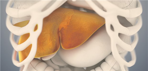 Heilungsraten bei Hepatitis D nach wie vor suboptimal Hepatitis D kommt nur bei Menschen mit Hepatitis B vor.