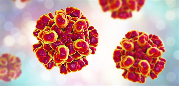 Hepatitis E Viren im 3-D-Modell. Die Infektionen in Deutschland mehren sich.