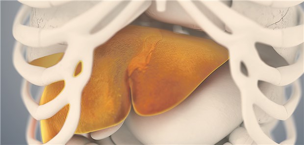 Hepatitis: Im Deutschen Hepatitis-C-Register sinkt der Anteil an Patienten mit HCV-Genotyp 1.