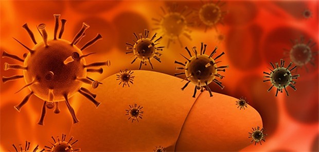 Hepatitis-Bekämpfung mit Hindernissen Hepatitis-Viren: Ein Hepatitis-Ausbruch in Berlin beschäftigt Mediziner.