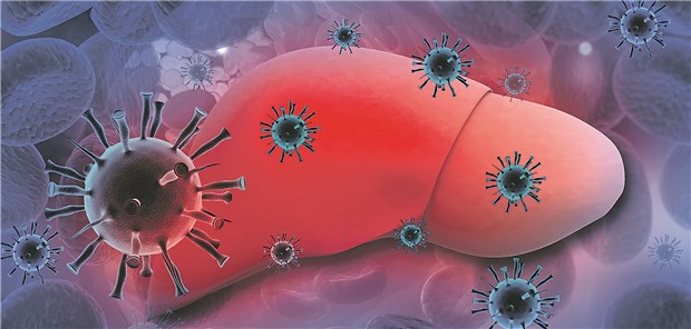 Halb so viele Hepatitis-Patienten mit Klinikaufenthalt wie 2007 Hepatitis-Viren bedrohen die Leber.