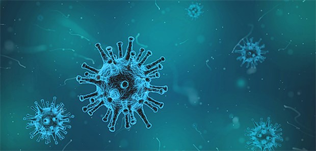 So tricksen Herpesviren das Immunsystem aus Herpesviren (hier als grafische Darstellung) tricksen das Immunsystem aus und überdauern so im Körper. Doch gerade das Cytomegalievirus im Körper von Frauen kann für einen Fötus gefährlich werden.